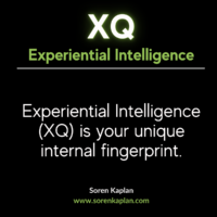 Experiential Intelligence - XQ is your fingerprint