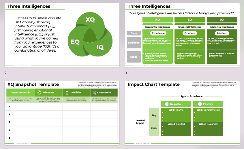 XQ PowerPoint Presentation 2