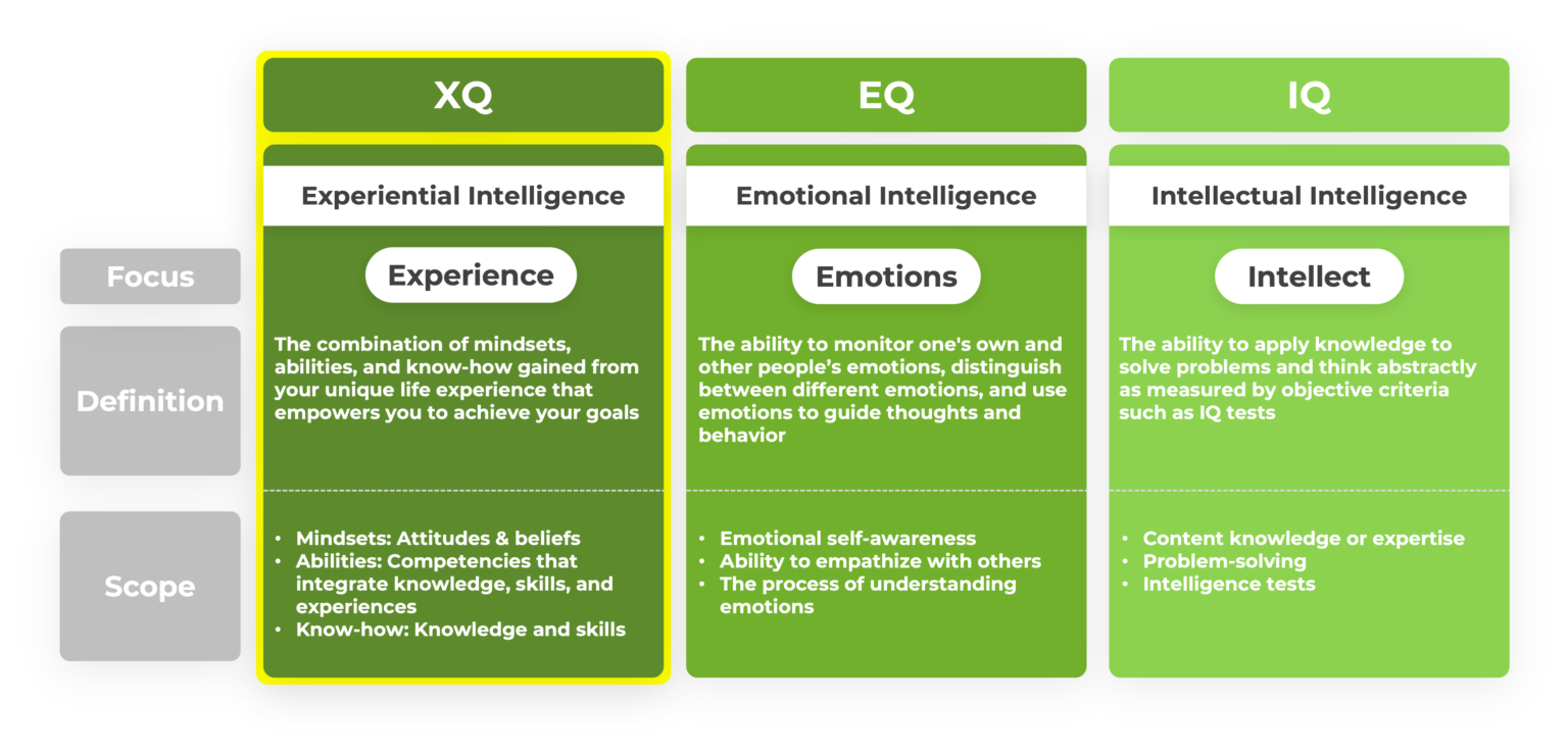 Xiq Examples Experiential Intelligence Book - Leapfrog to What's Next