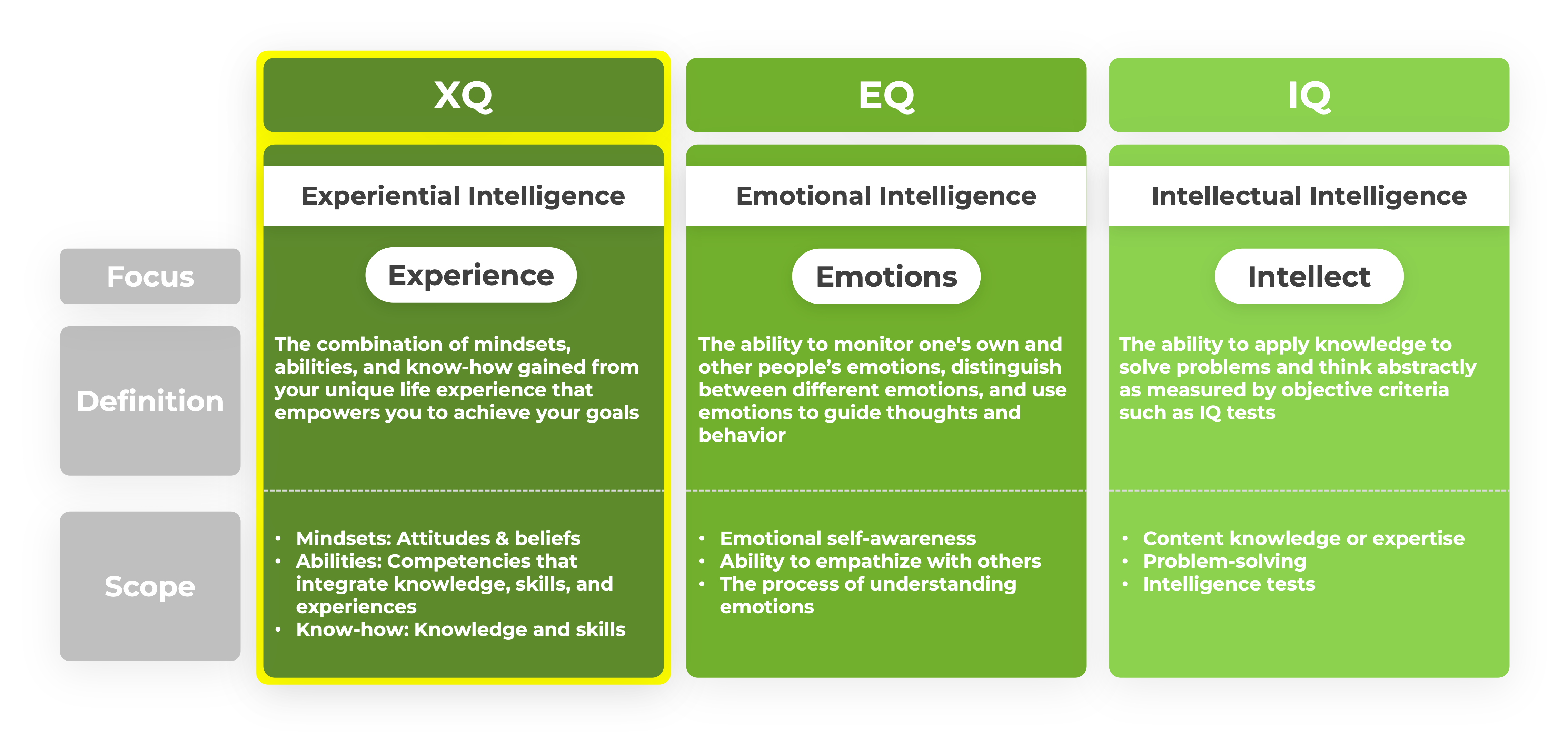3 Types of Intelligence IQ EQ XQ