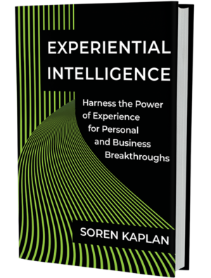 Experiential Intelligence Book Cover 3D