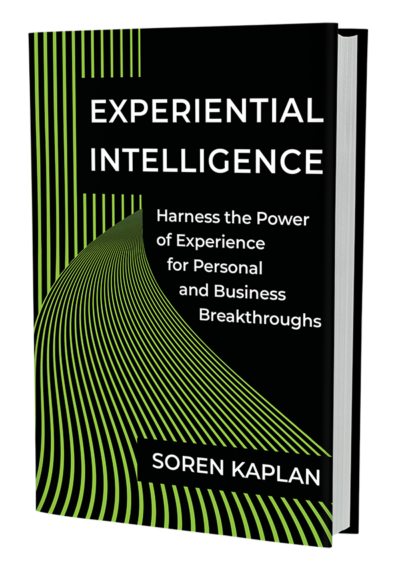Experiential Intelligence Book Cover 3D